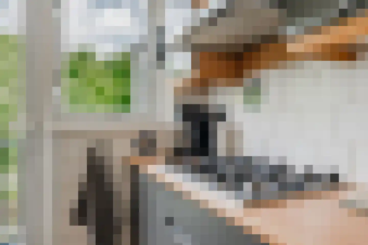 Kloosterstraat 30 Duivendrecht thumbnail 26