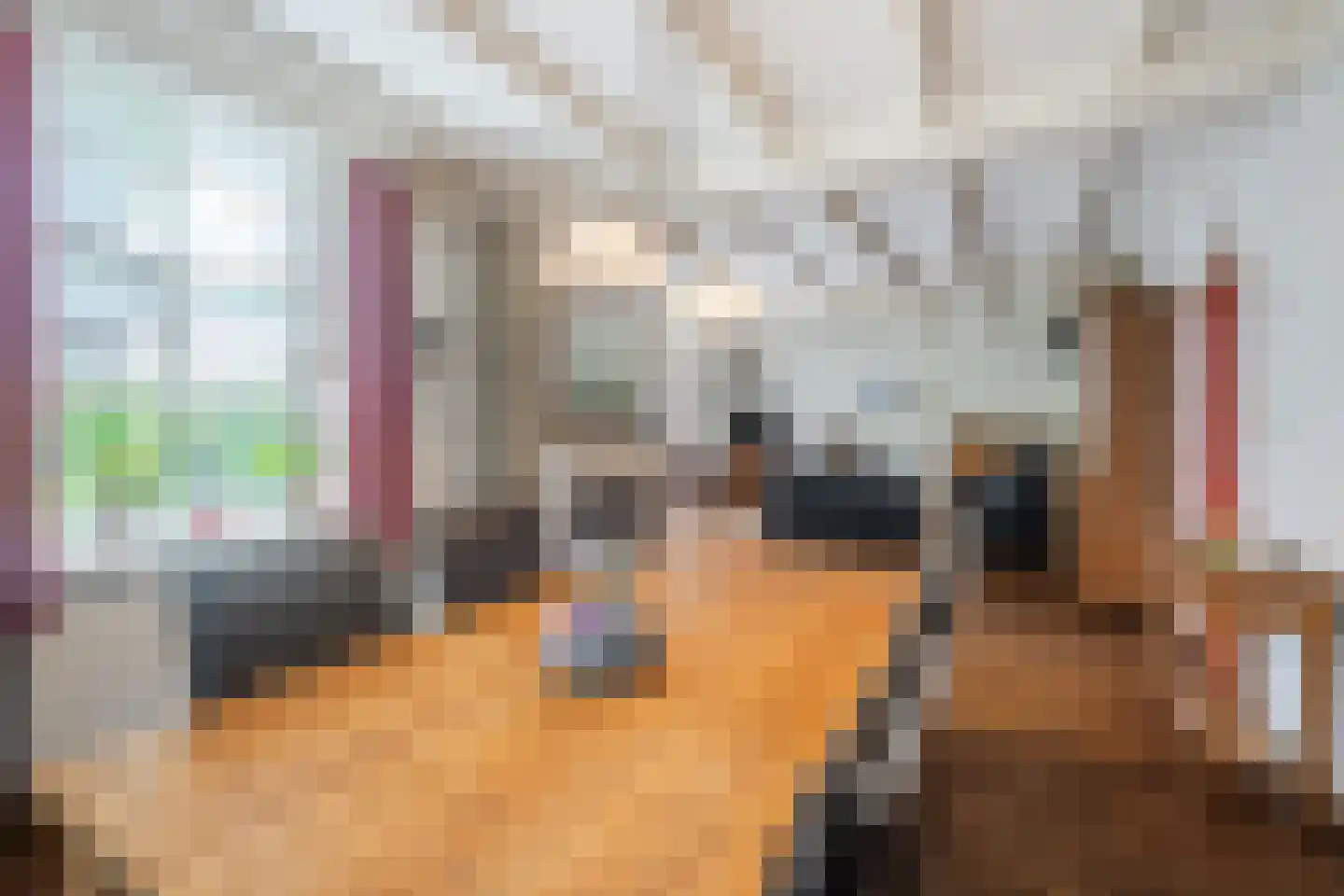 Kloosterstraat 31 Volkel thumbnail 14
