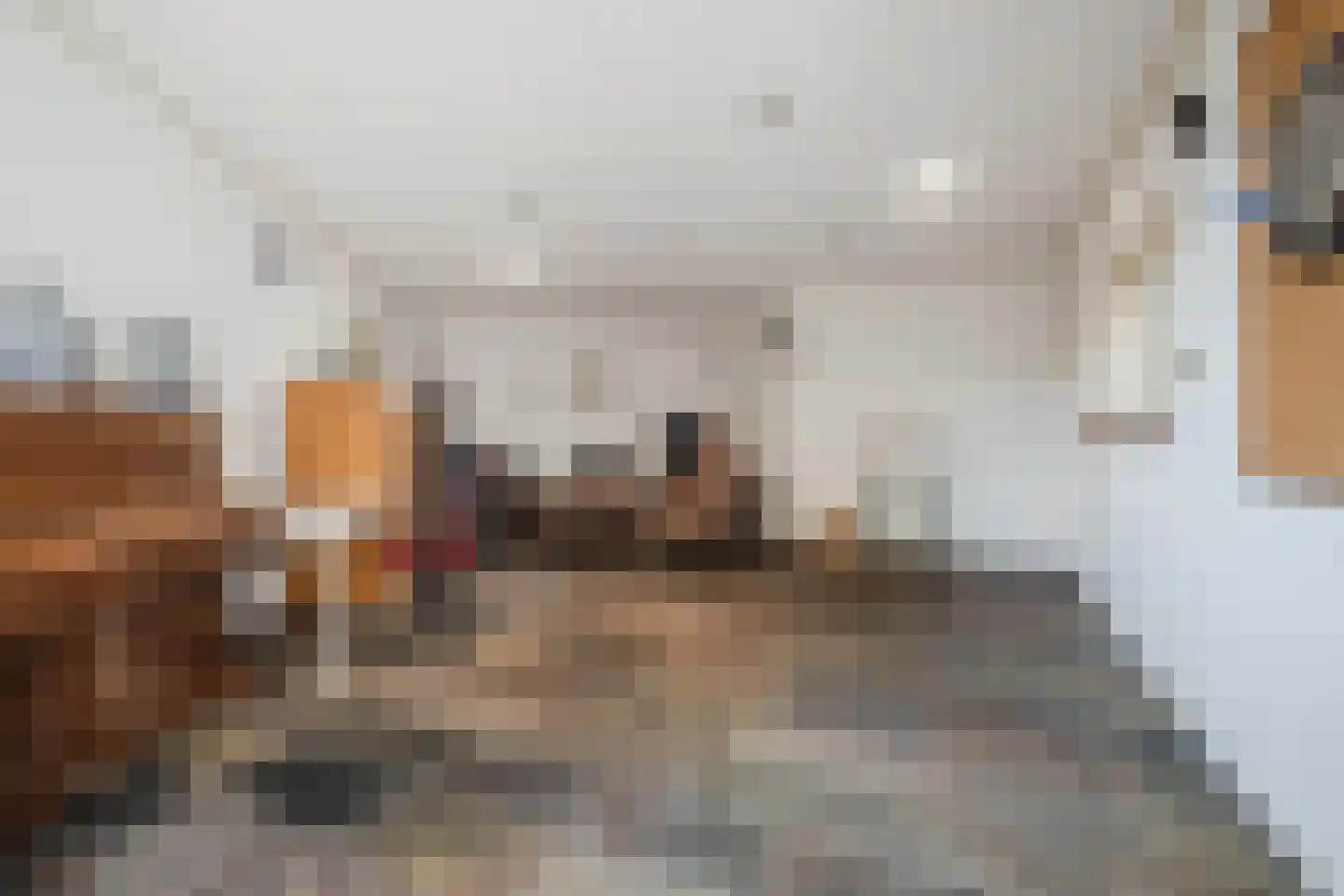 Kloosterstraat 31 Volkel thumbnail 21