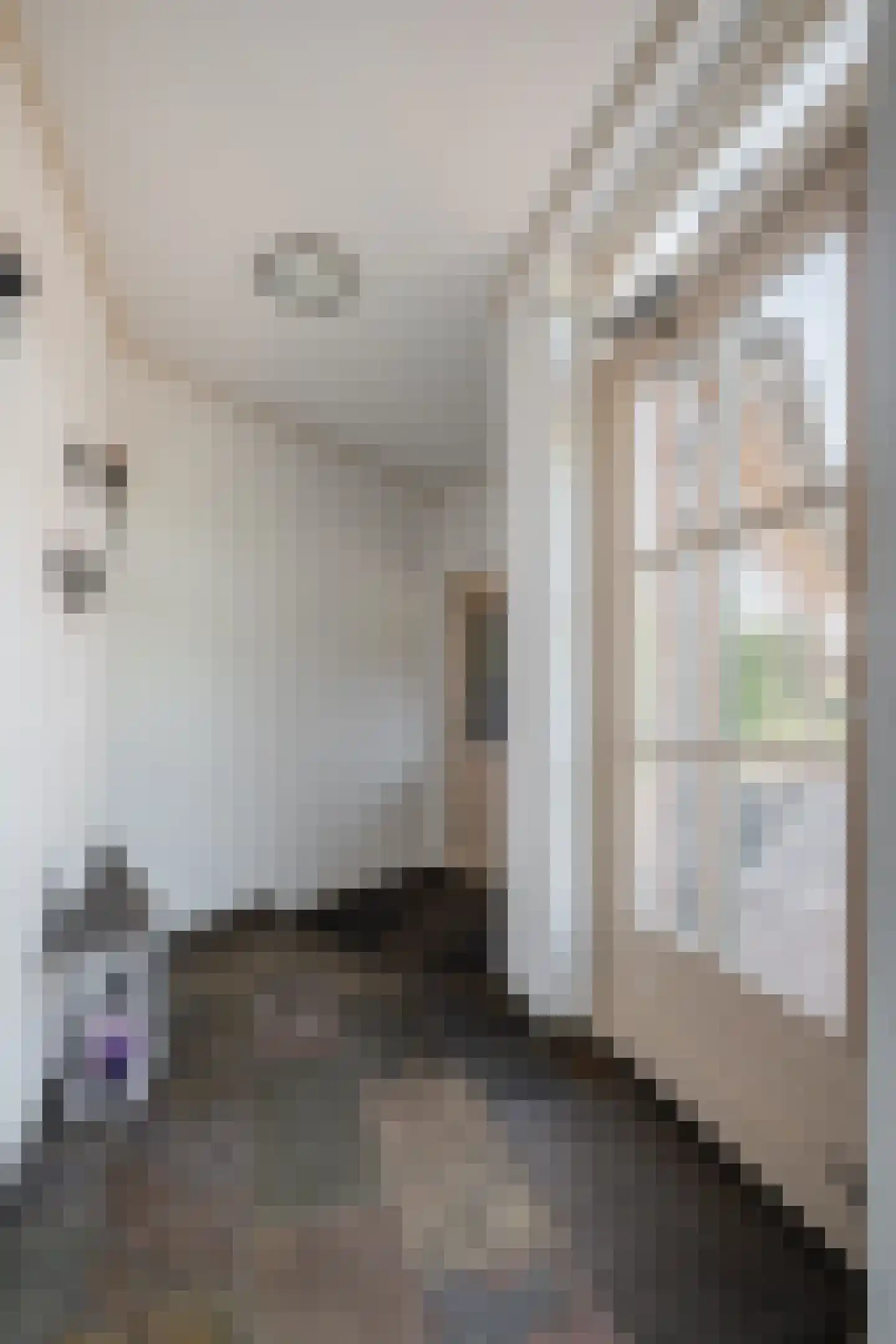 Kloosterstraat 31 Volkel thumbnail 24