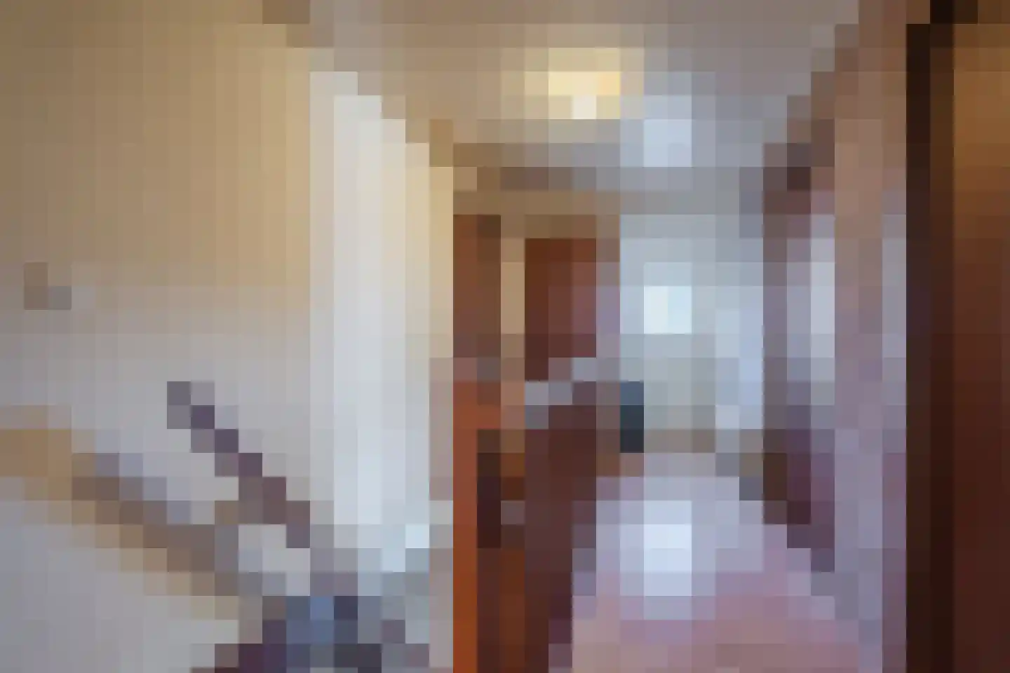 Kloosterstraat 31 Volkel thumbnail 38