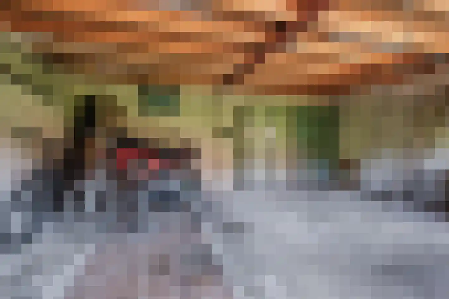 Kloosterstraat 31 Volkel thumbnail 39