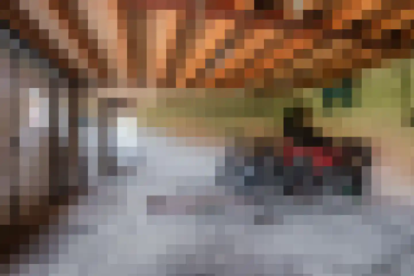 Kloosterstraat 31 Volkel thumbnail 40