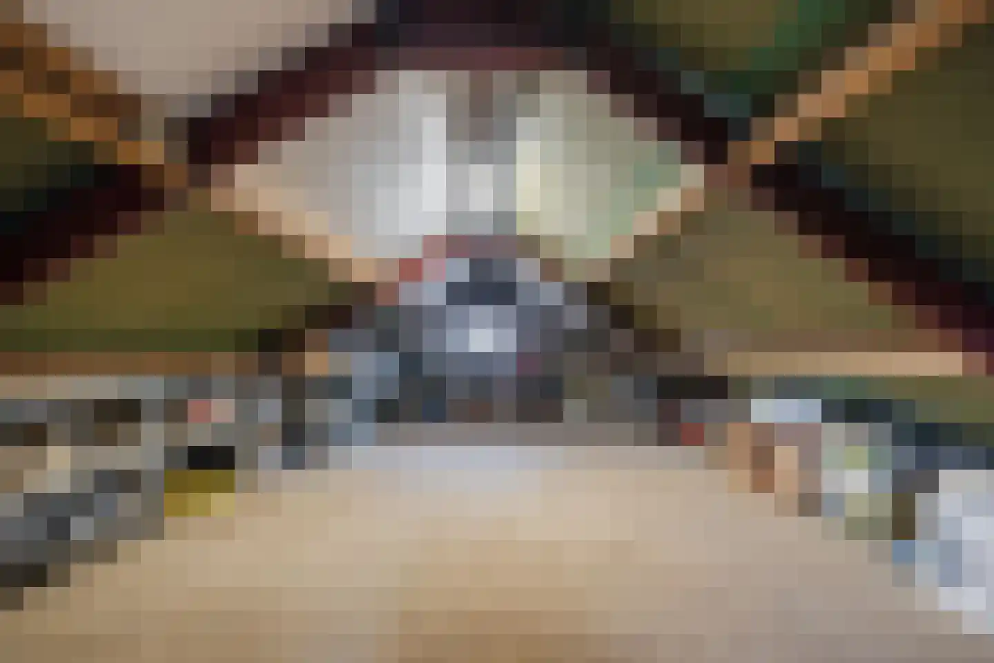 Kloosterstraat 31 Volkel thumbnail 42