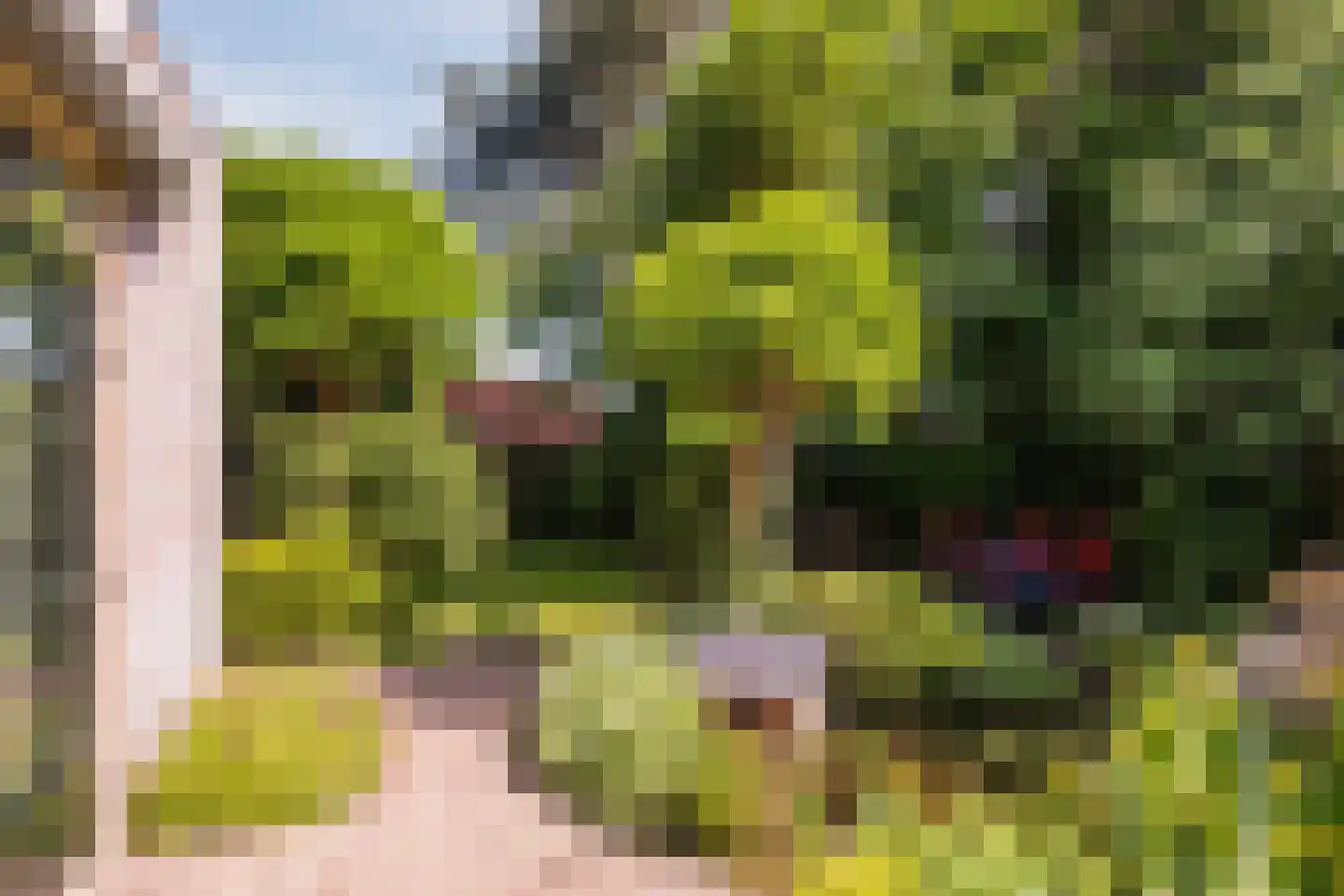 Kloosterstraat 31 Volkel thumbnail 44