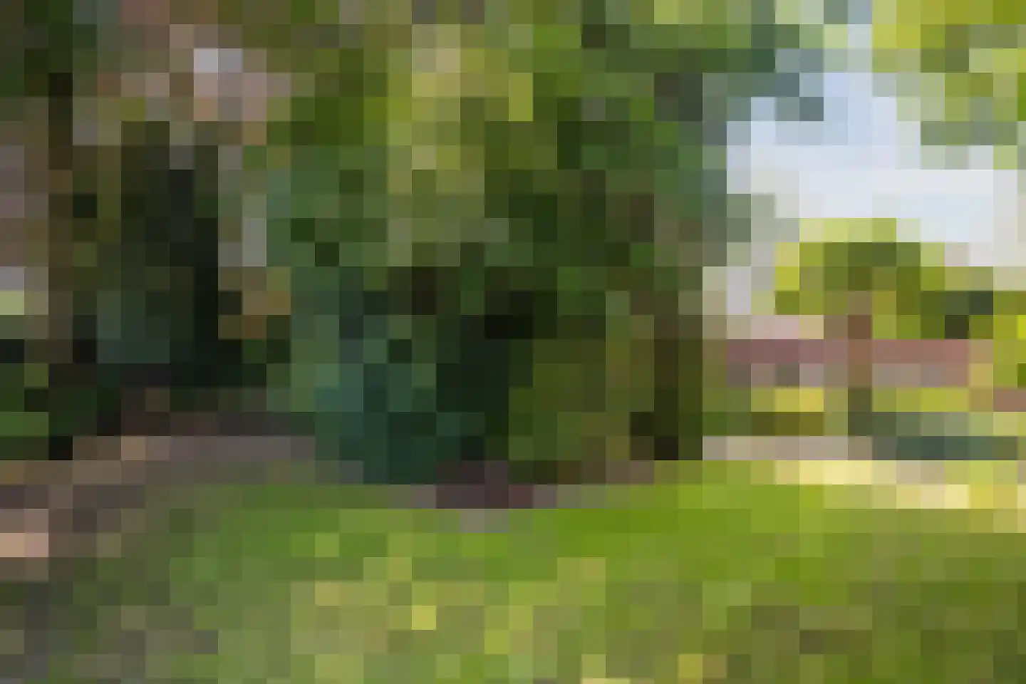Kloosterstraat 31 Volkel thumbnail 45