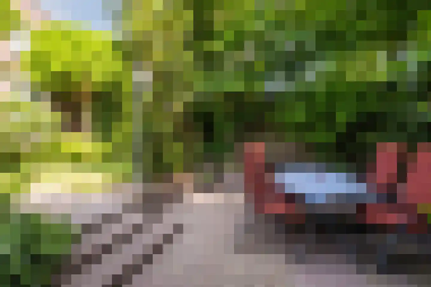 Kloosterstraat 31 Volkel thumbnail 46