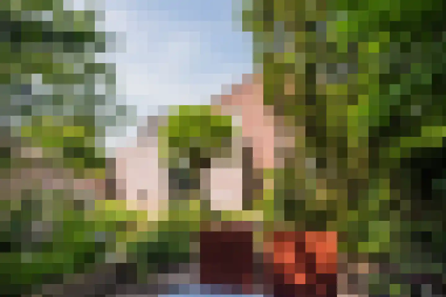 Kloosterstraat 31 Volkel thumbnail 47