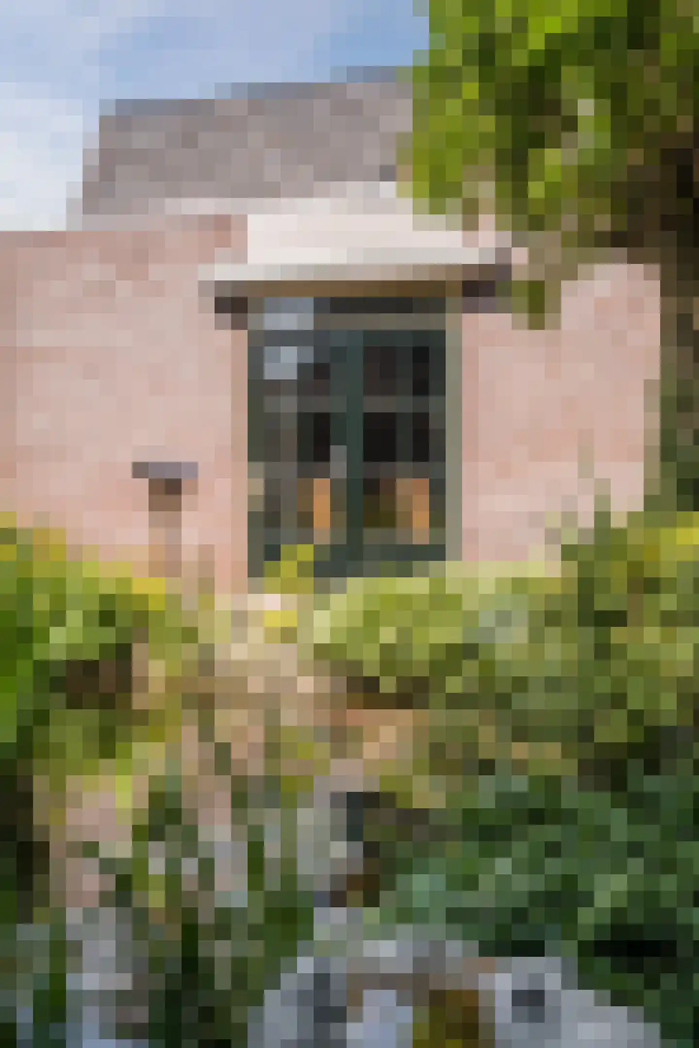 Kloosterstraat 31 Volkel thumbnail 48