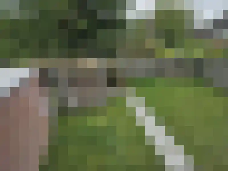 Kloosterstraat 33 Lage Mierde thumbnail 14