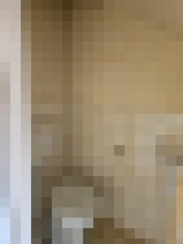 Kloosterstraat 33 Lage Mierde thumbnail 5