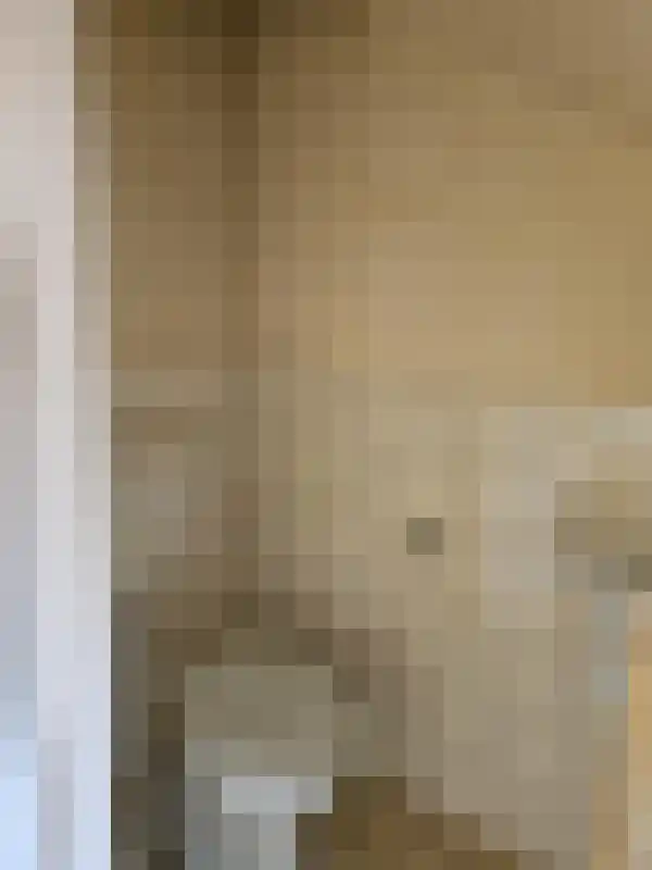 Kloosterstraat 33 Lage Mierde thumbnail 5