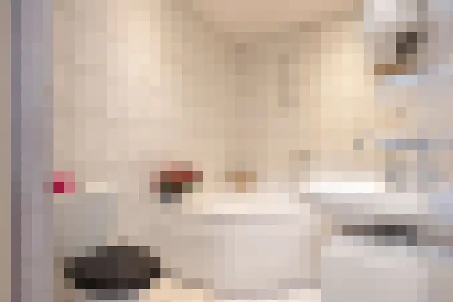 Kloosterstraat 33 Simpelveld thumbnail 11