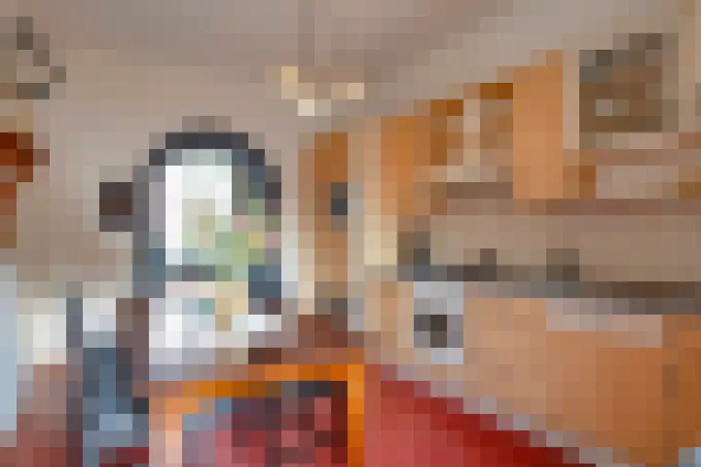 Kloosterstraat 33 Simpelveld thumbnail 16
