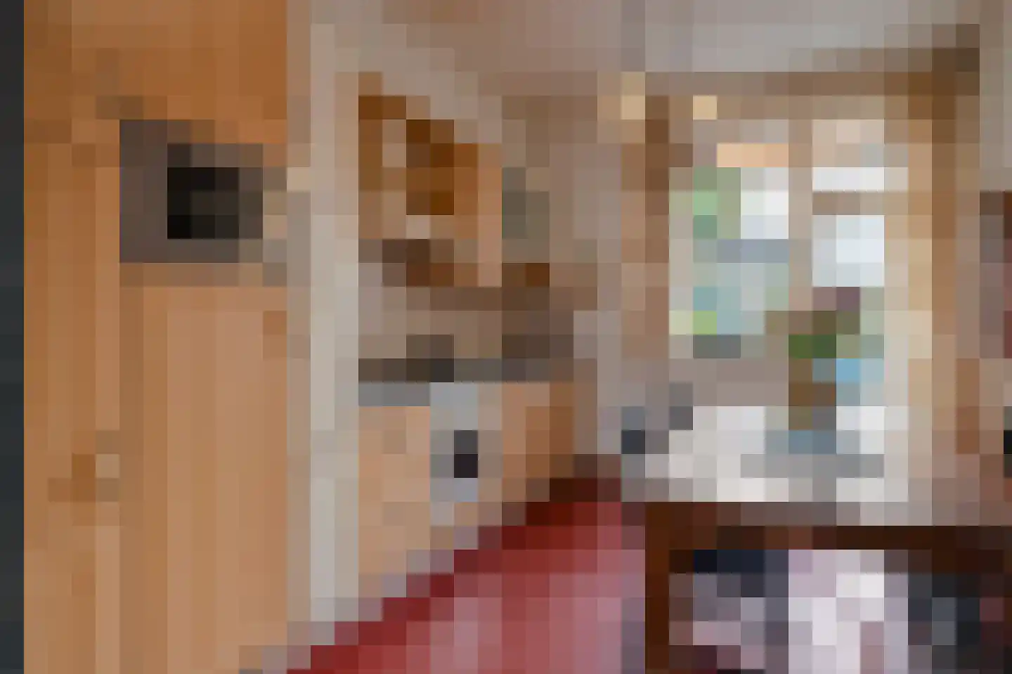 Kloosterstraat 33 Simpelveld thumbnail 16
