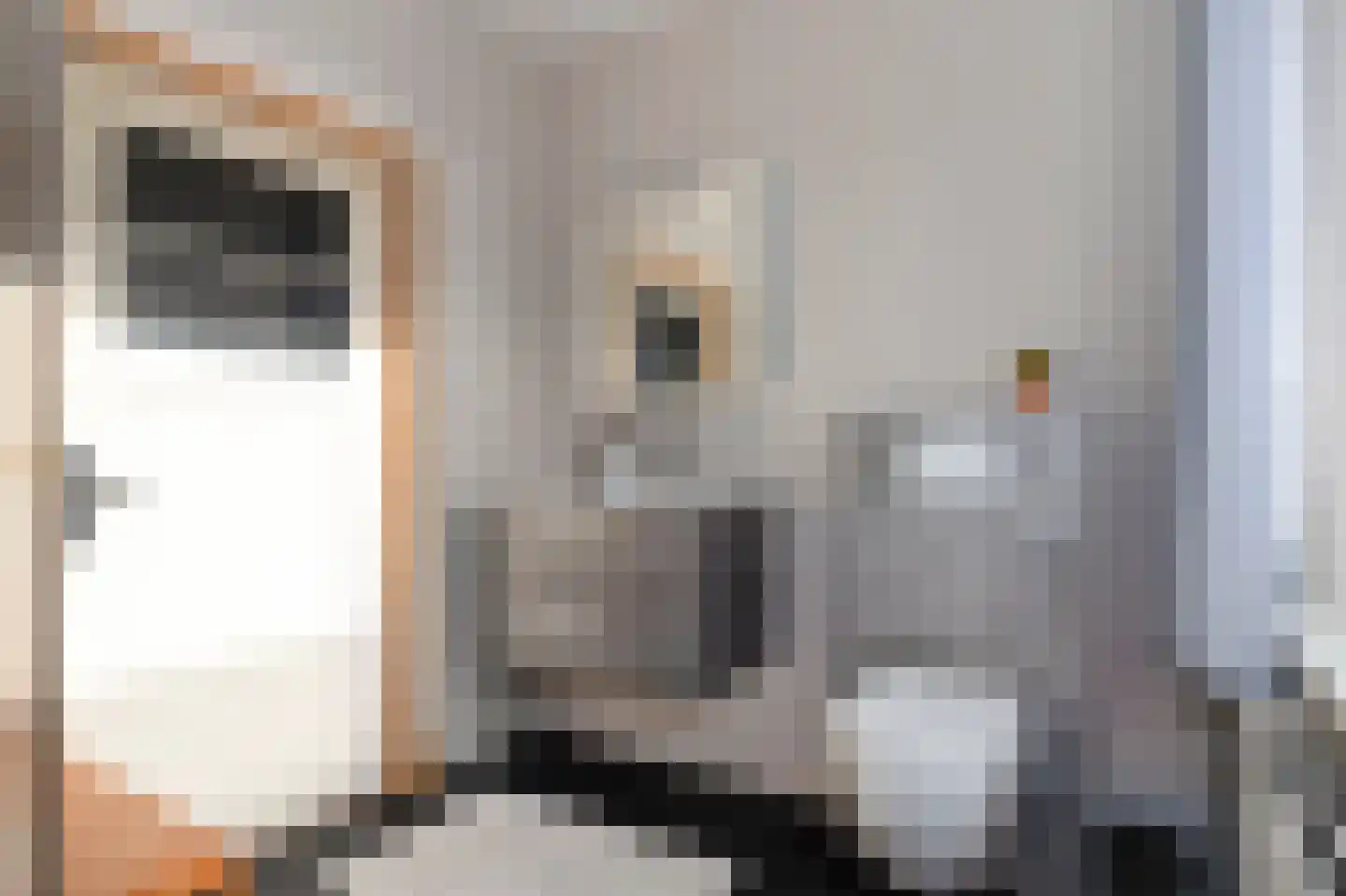 Kloosterstraat 33 Simpelveld thumbnail 31