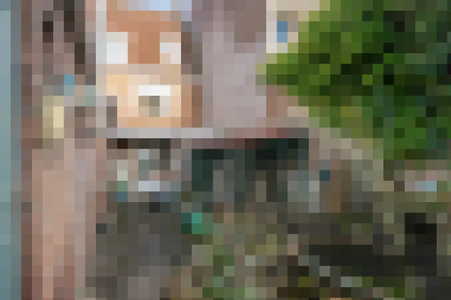 Kloosterstraat 33 Simpelveld thumbnail 40