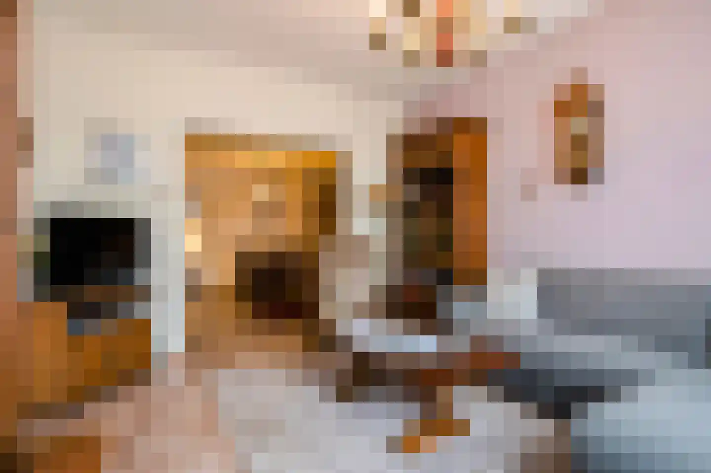 Kloosterstraat 33 Simpelveld thumbnail 5