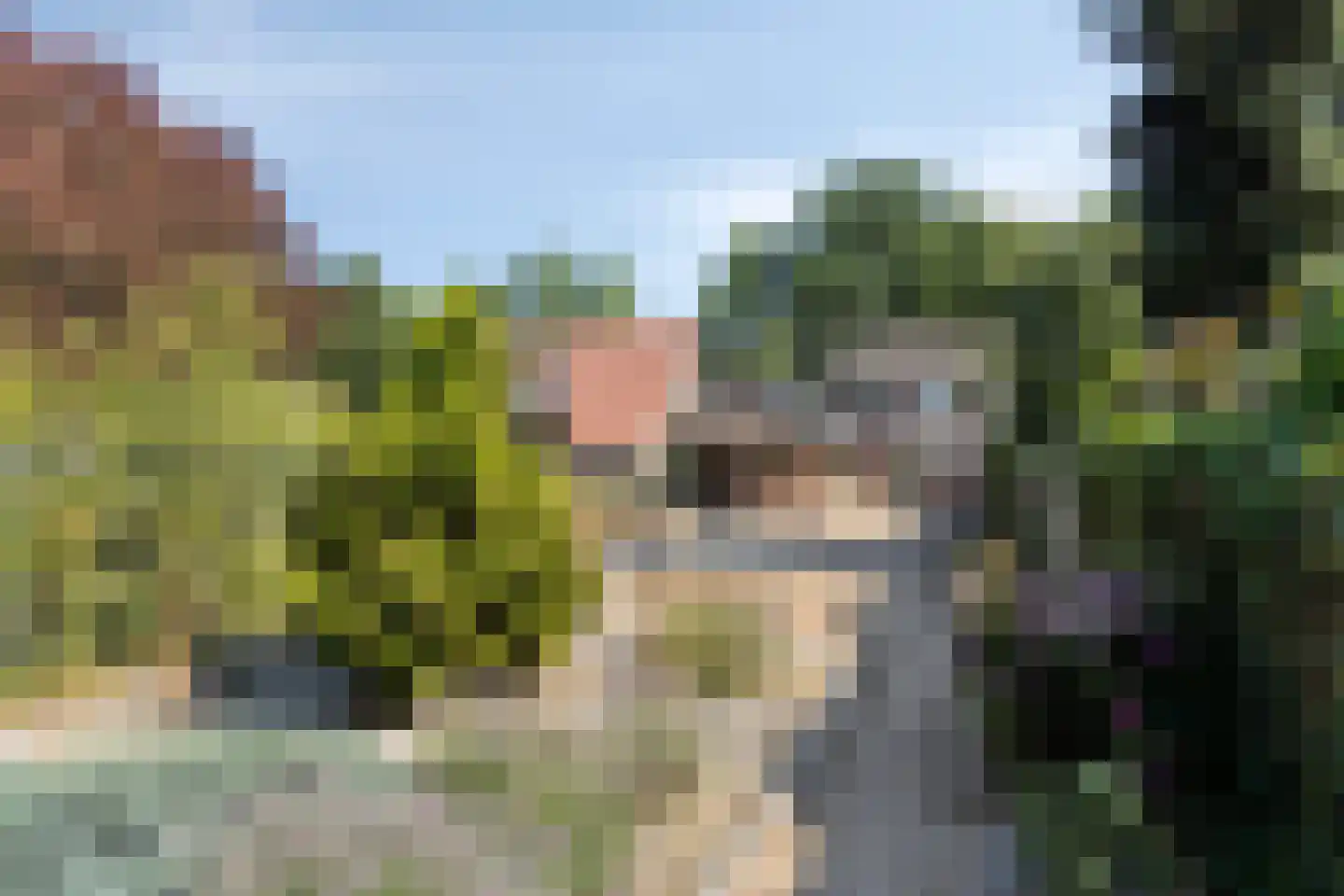 Kloosterstraat 34 Helden thumbnail 4