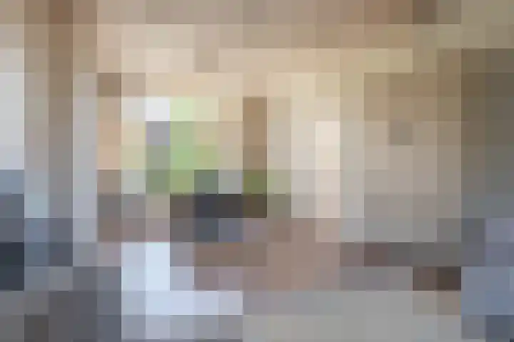 Kloosterstraat 34 Sneek thumbnail 15