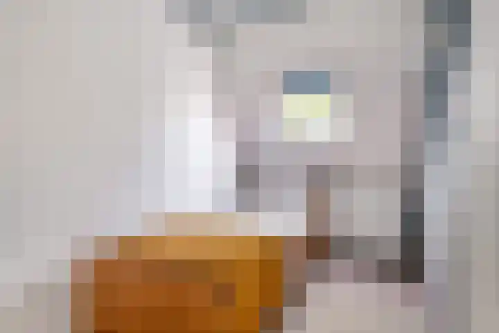 Kloosterstraat 34 Sneek thumbnail 31
