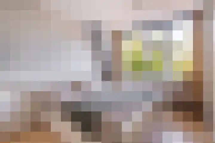 Kloosterstraat 34 Sneek thumbnail 33
