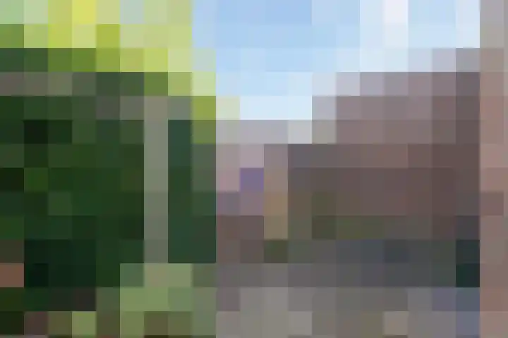 Kloosterstraat 34 Sneek thumbnail 44