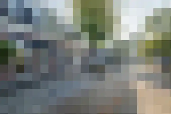 Kloosterstraat 34 Sneek thumbnail 6