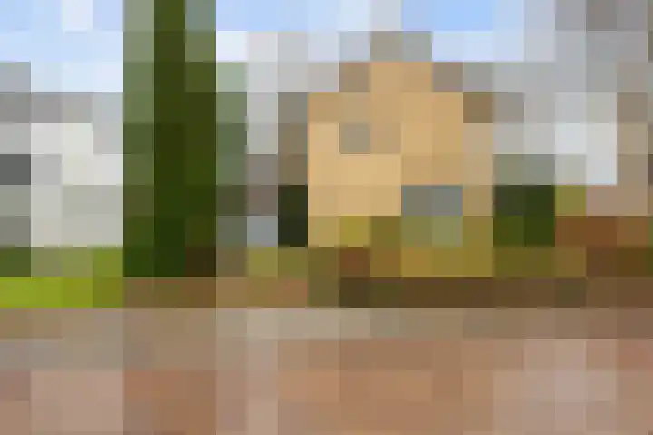 Kloosterstraat 39 Aduard thumbnail 4