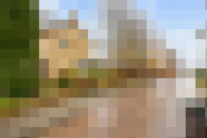 Kloosterstraat 39 Aduard thumbnail 6