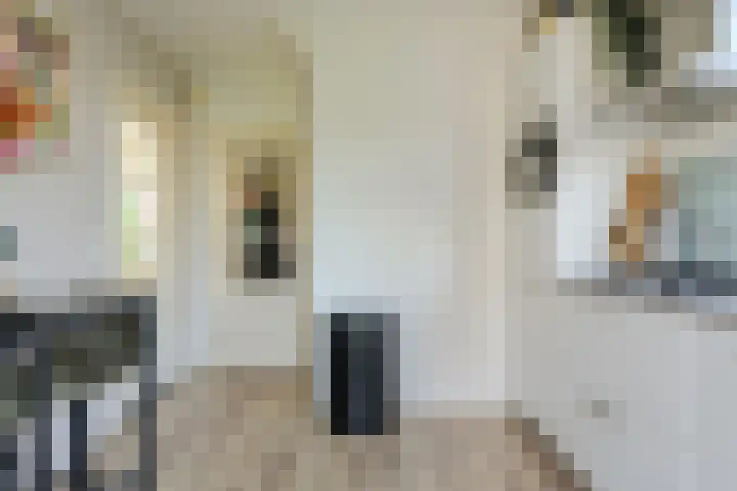 Kloosterstraat 39 Bavel thumbnail 14