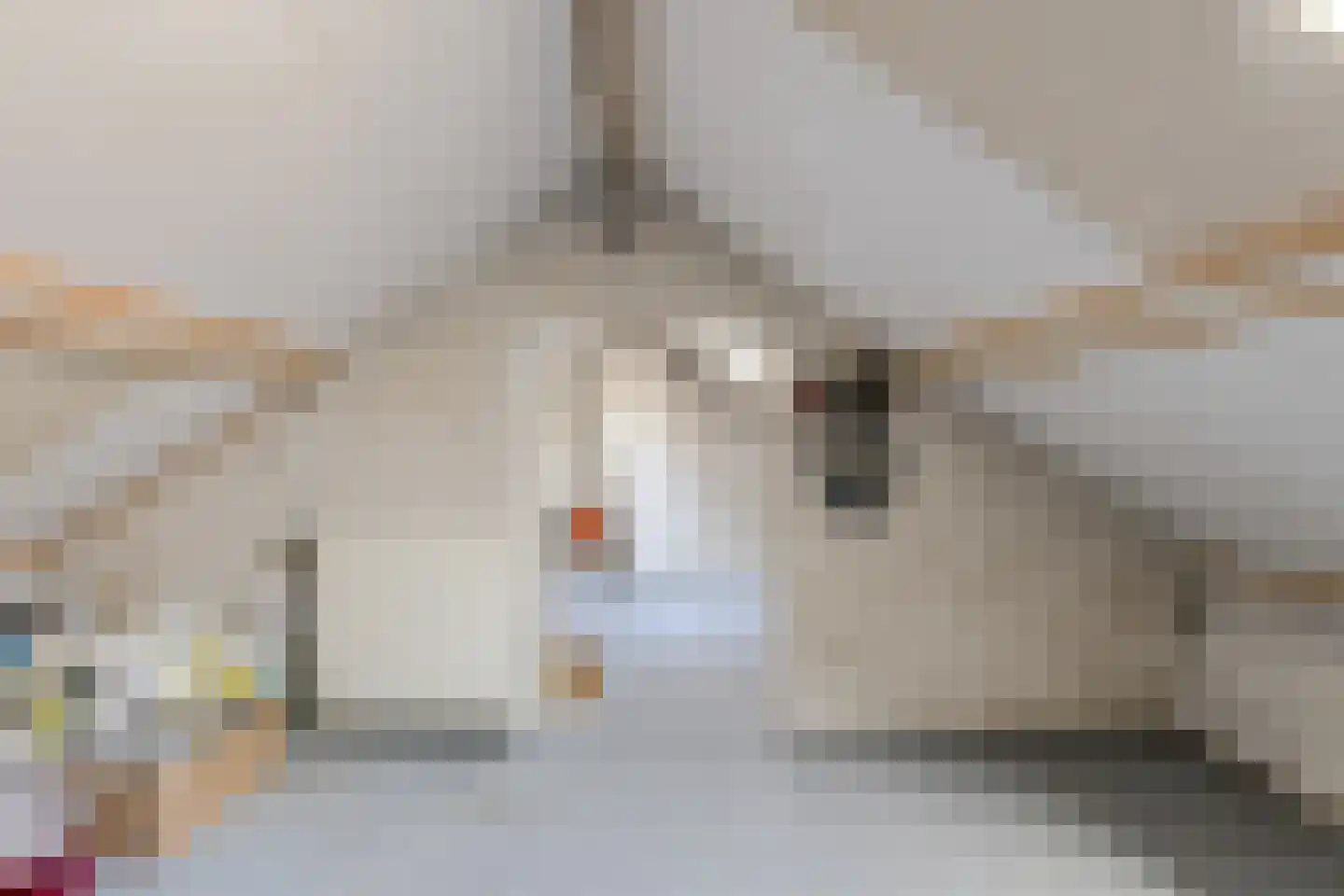 Kloosterstraat 39 Bavel thumbnail 30