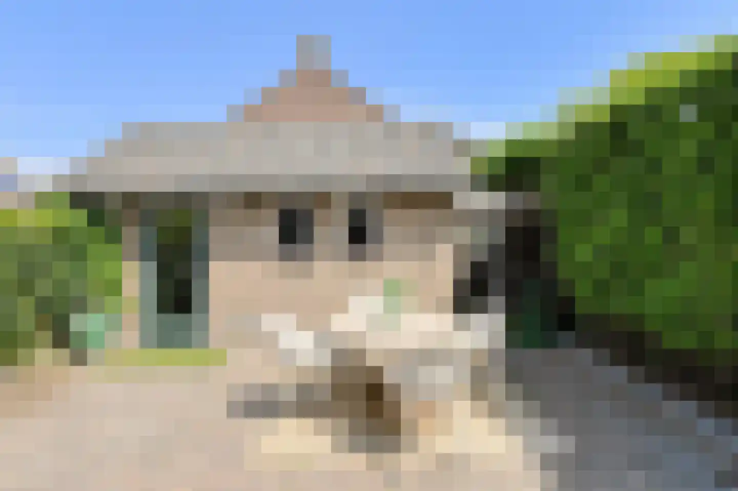 Kloosterstraat 39 Bavel thumbnail 31