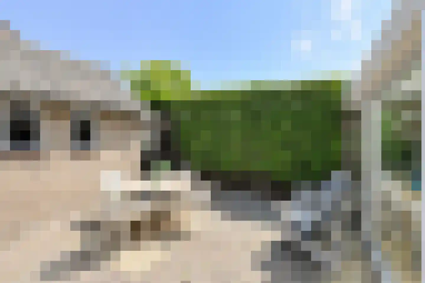Kloosterstraat 39 Bavel thumbnail 33