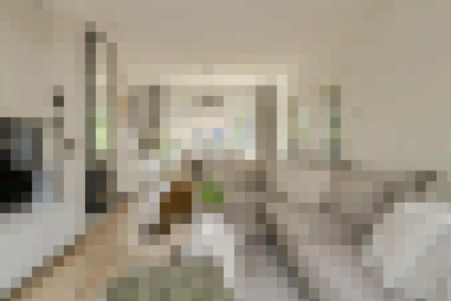 Kloosterstraat 39 Bavel thumbnail 5