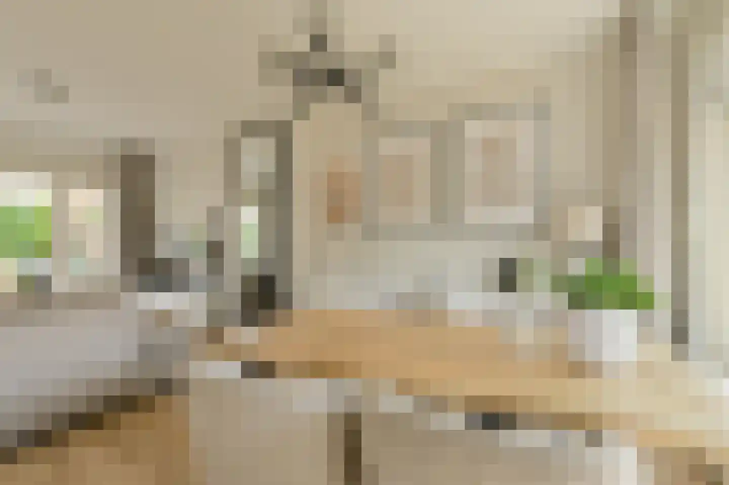 Kloosterstraat 39 Bavel thumbnail 7