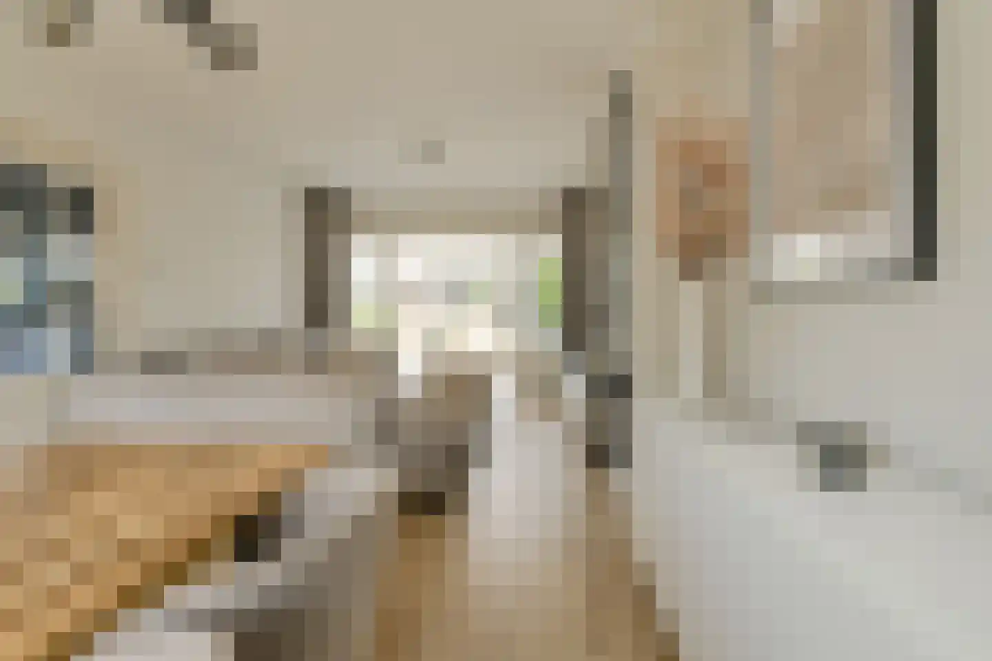 Kloosterstraat 39 Bavel thumbnail 8