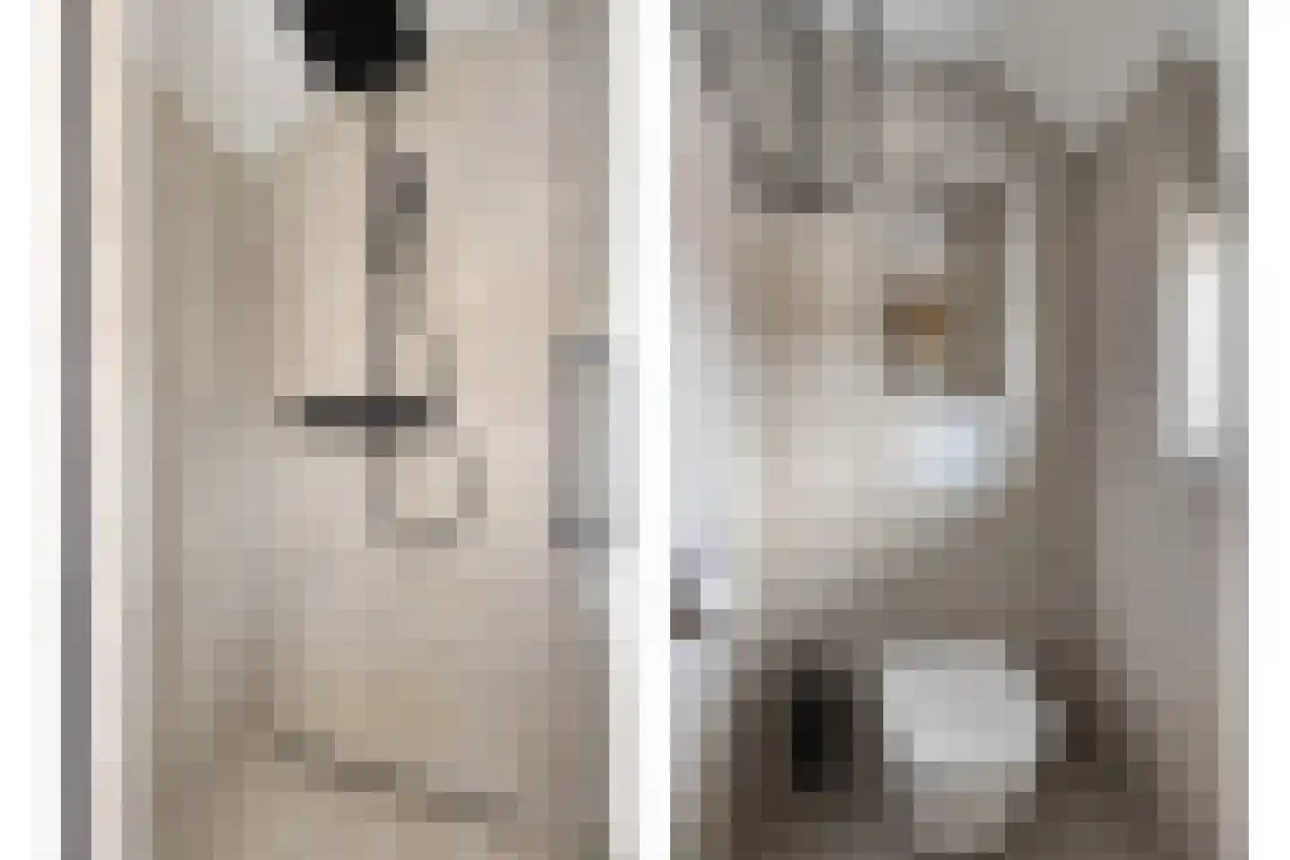 Kloosterstraat 4 Vrouwenpolder thumbnail 30