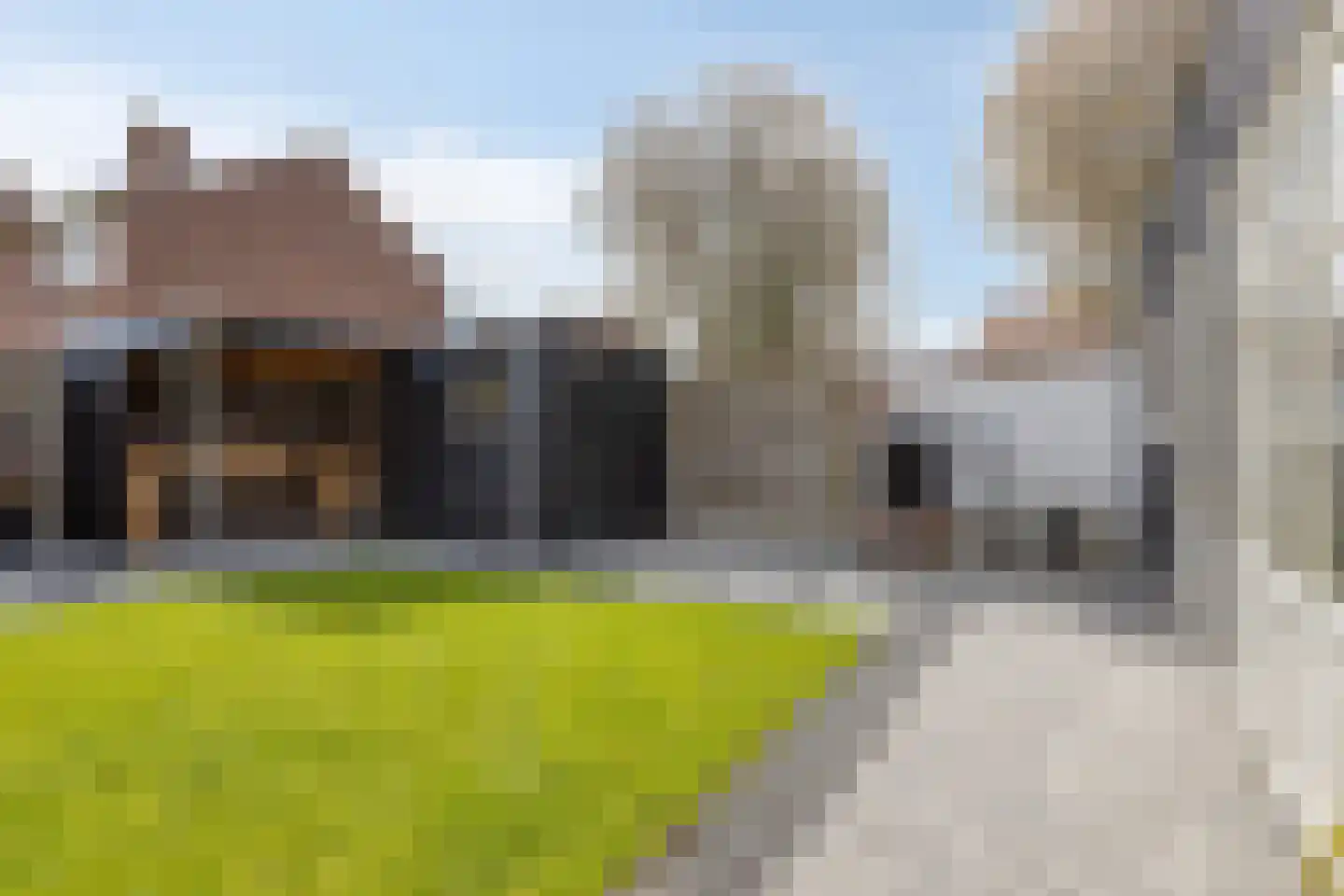 Kloosterstraat 4 Vrouwenpolder thumbnail 35