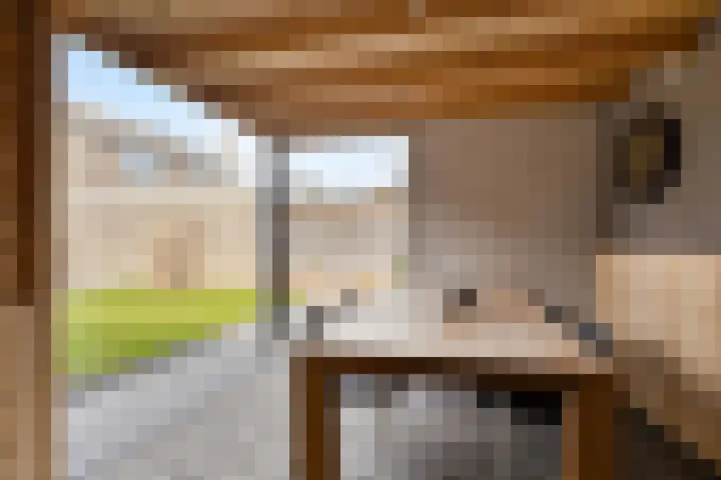 Kloosterstraat 4 Vrouwenpolder thumbnail 37