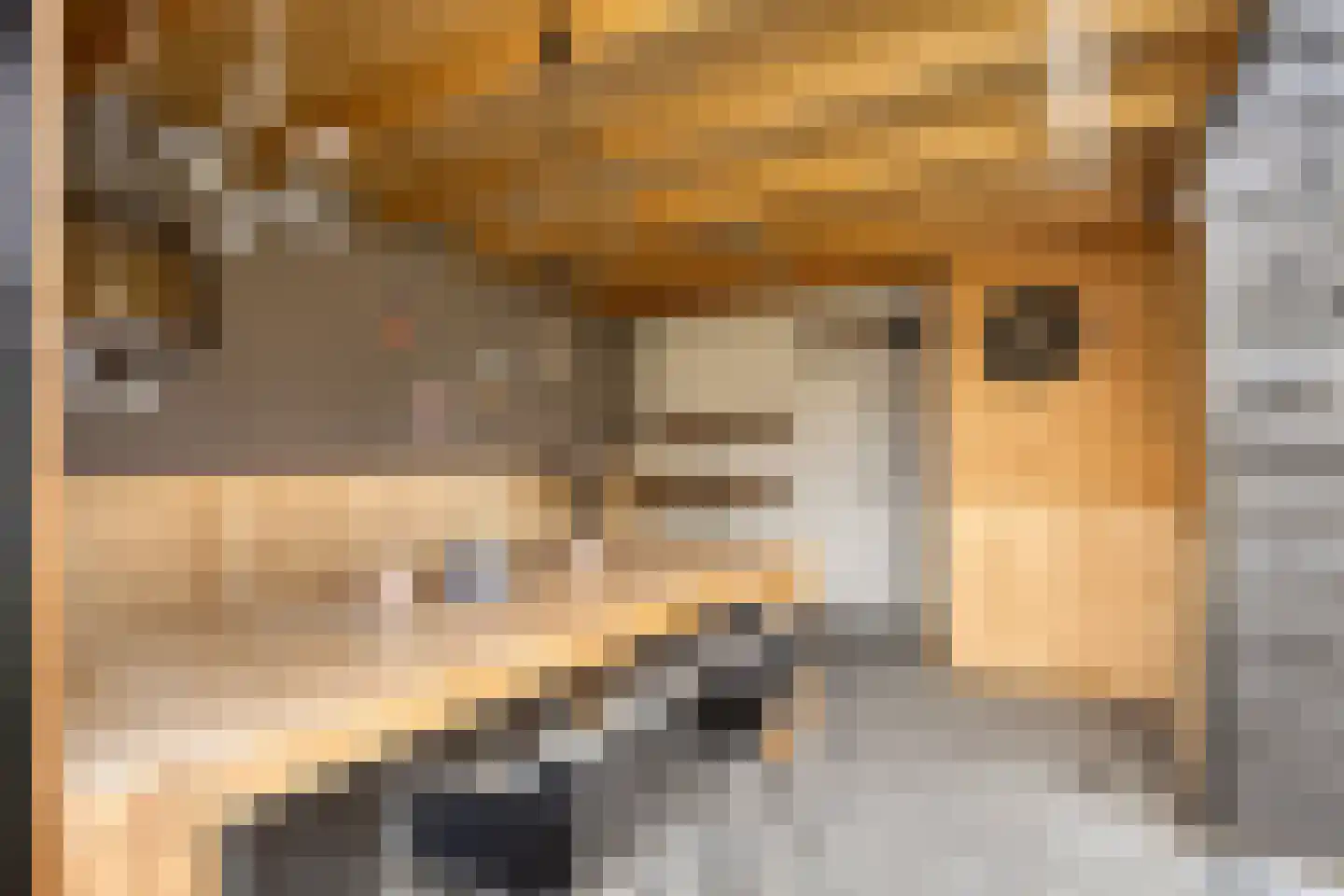 Kloosterstraat 4 Vrouwenpolder thumbnail 38