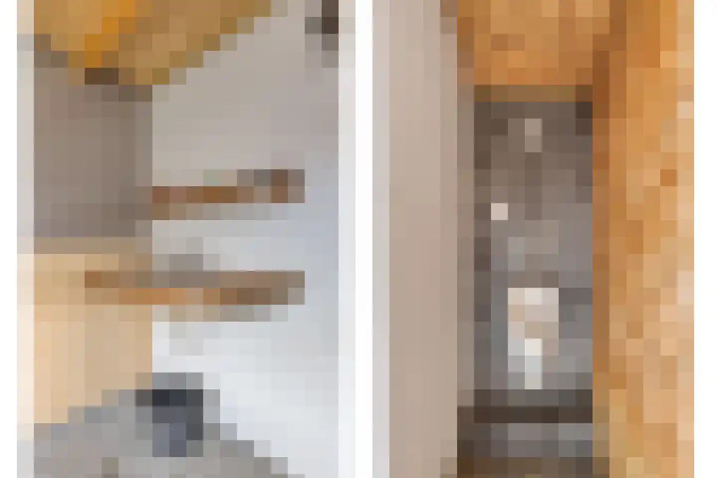 Kloosterstraat 4 Vrouwenpolder thumbnail 39