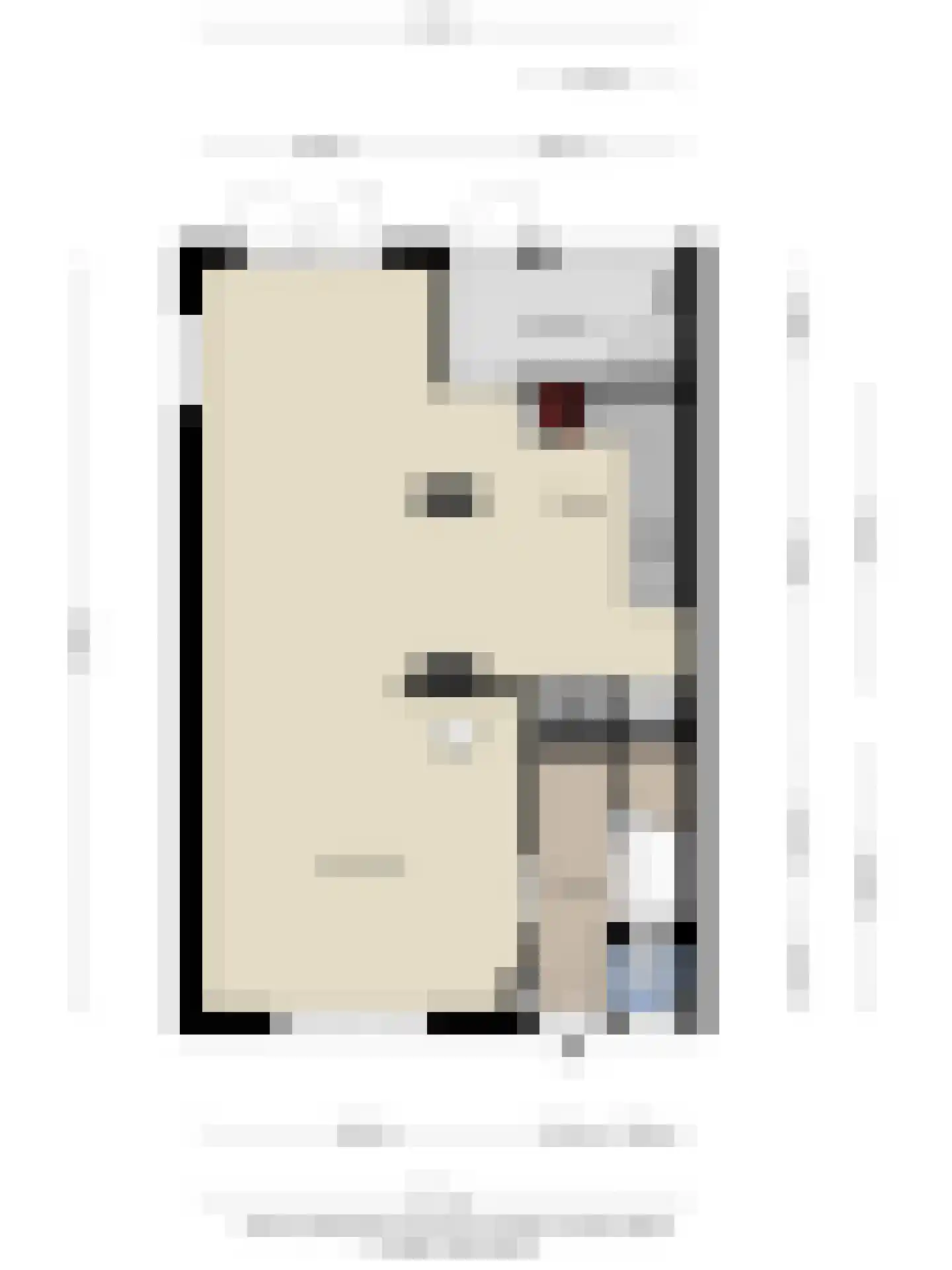 Kloosterstraat 4 Vrouwenpolder thumbnail 43