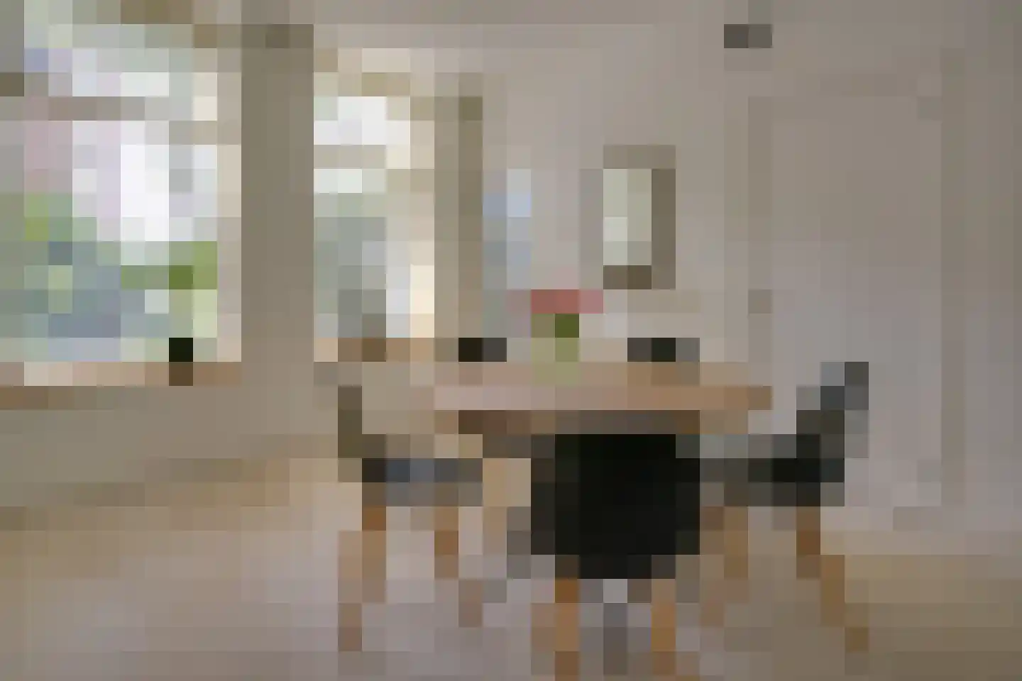 Kloosterstraat 41 Groningen thumbnail 11