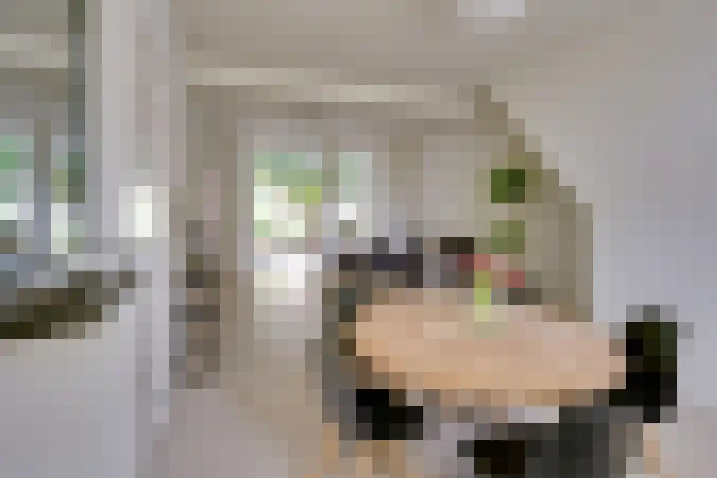 Kloosterstraat 41 Groningen thumbnail 12