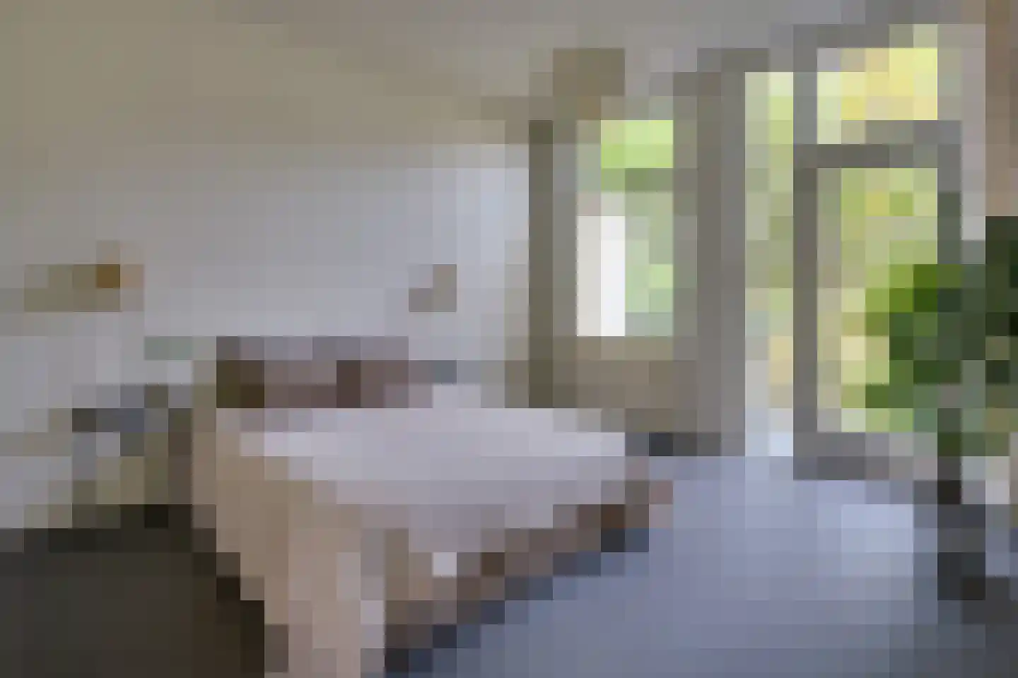 Kloosterstraat 41 Groningen thumbnail 31