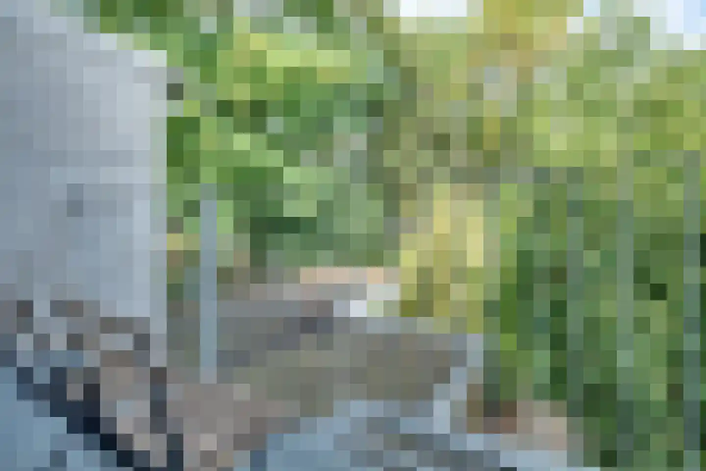 Kloosterstraat 41 Groningen thumbnail 33