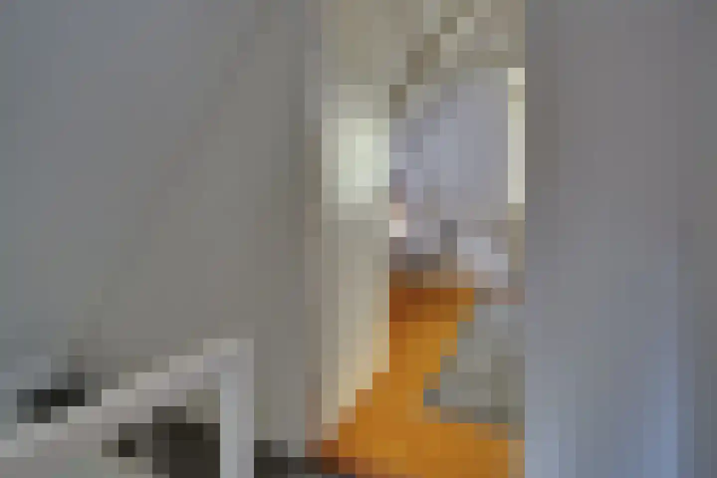 Kloosterstraat 41 Groningen thumbnail 41