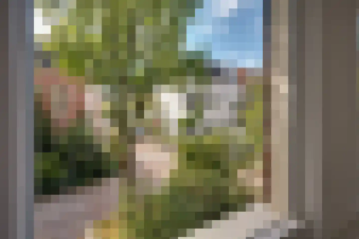 Kloosterstraat 41 Groningen thumbnail 48
