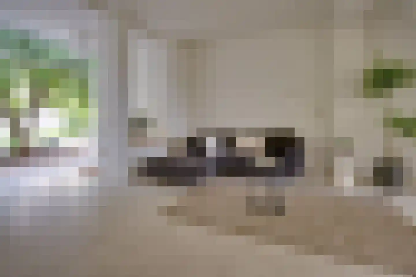 Kloosterstraat 41 Groningen thumbnail 5